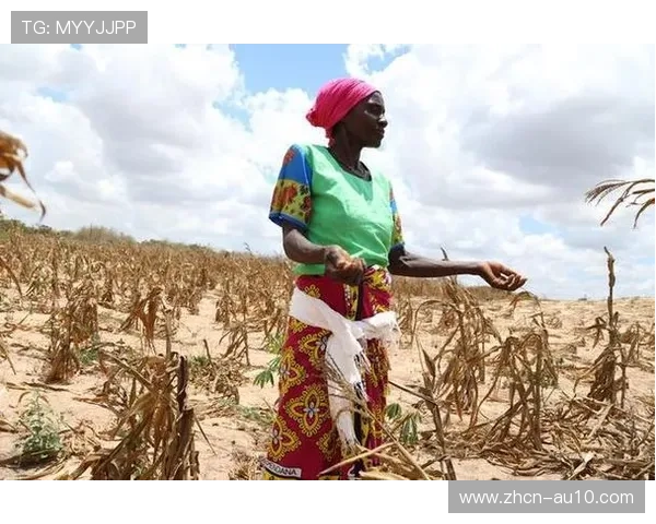肯尼亚打造非洲跳水联合会新训练中心 助力跳水项目发展